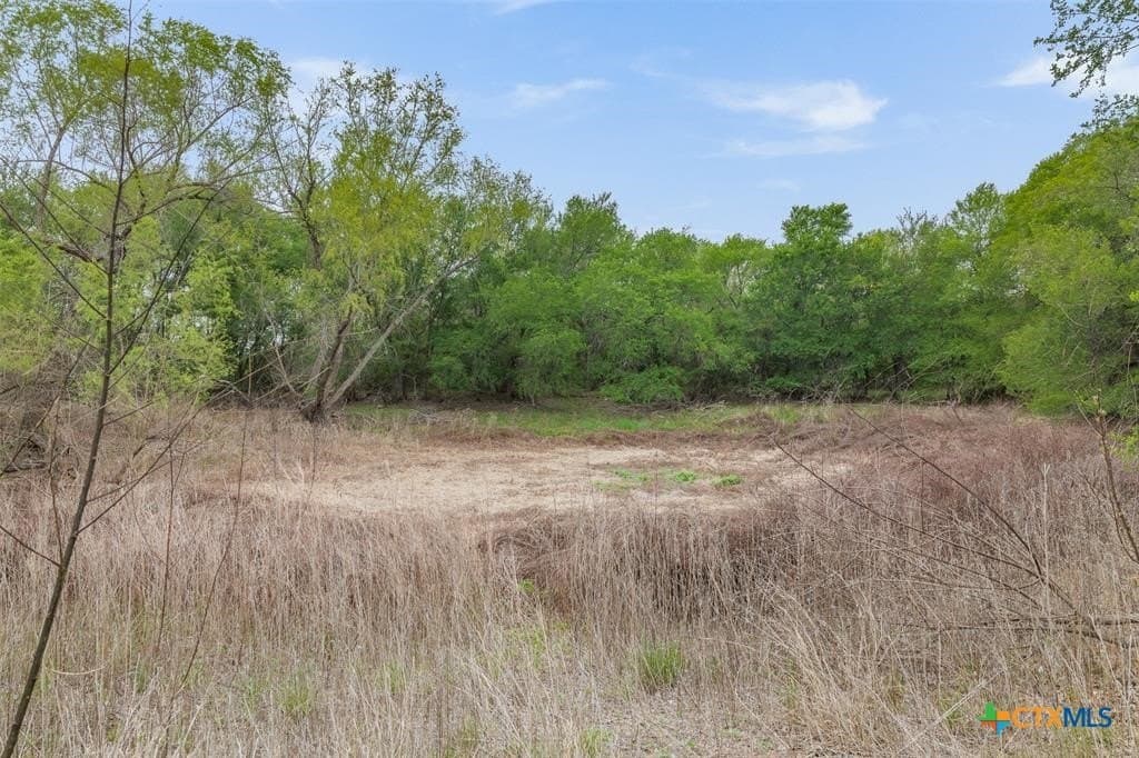 95.87 acres in Bastrop County - photo 39