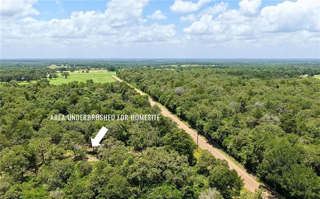 10 acres in Burleson County gallery image 2