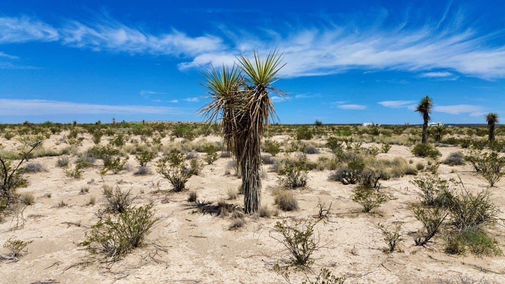 10 acres in Brewster County - photo 12