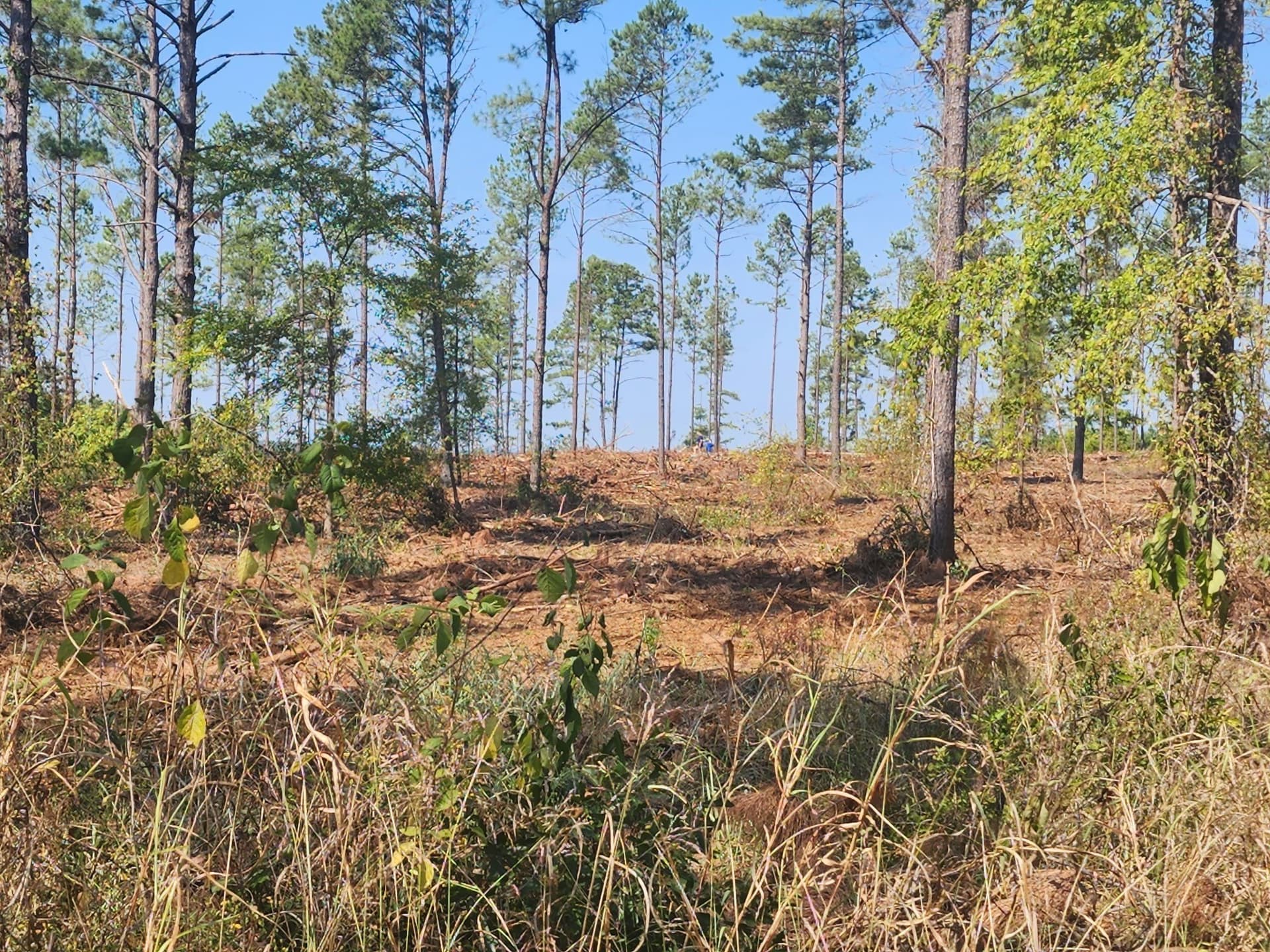 3.4 acres in Anderson County - photo 8