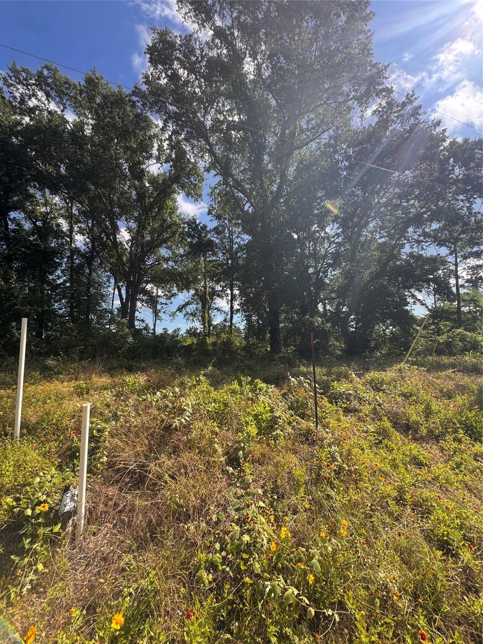 3.4 acres in Anderson County gallery image 3