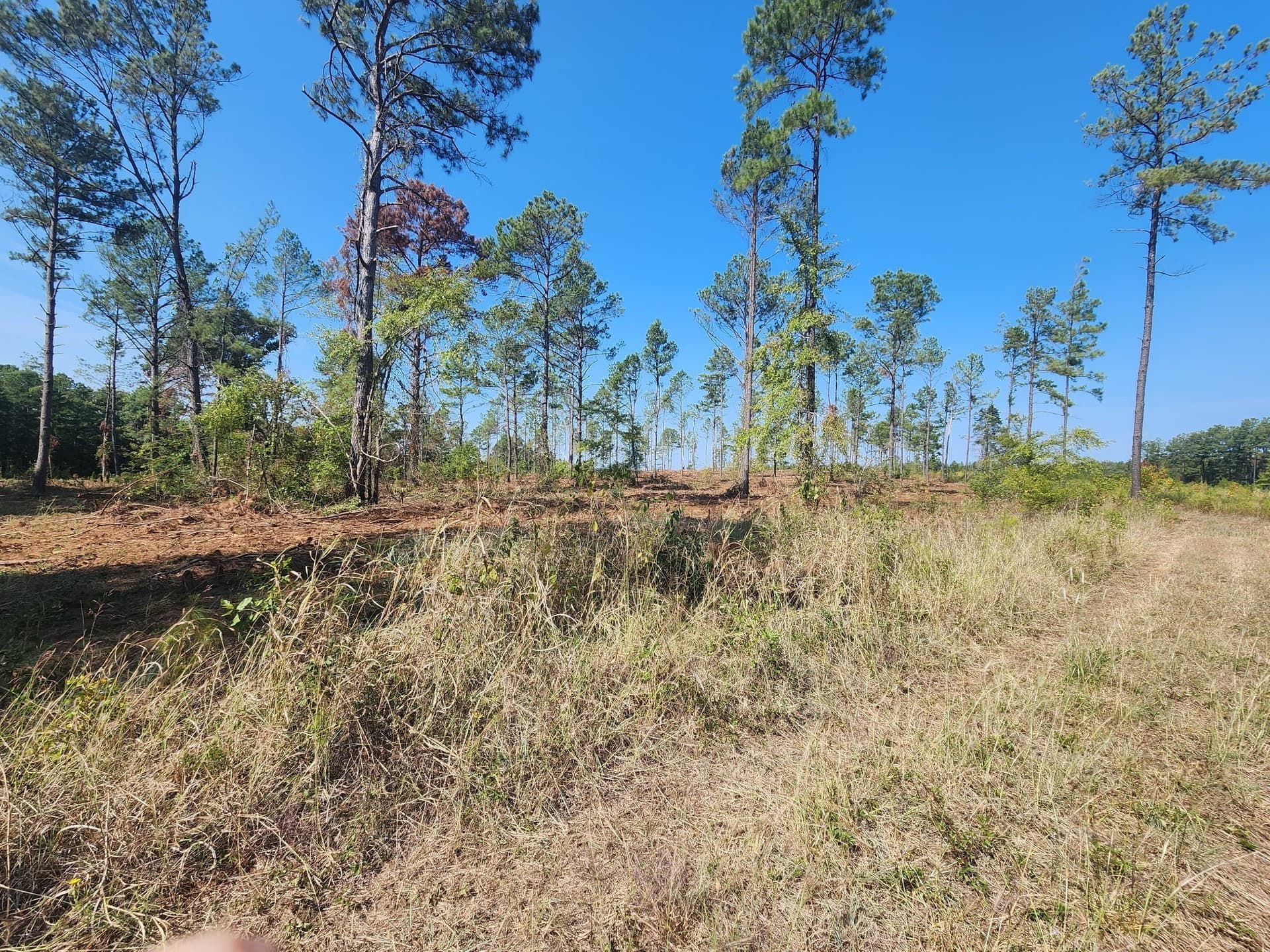 3.4 acres in Anderson County - photo 7