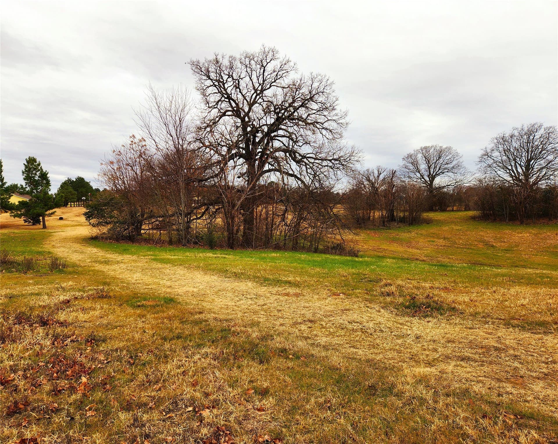 1.02 acres in Henderson County - photo 26
