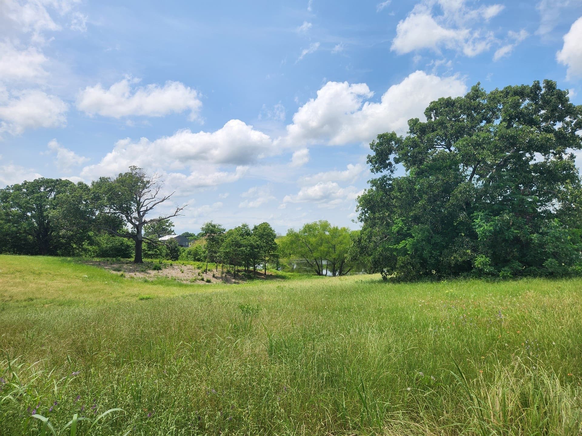 1.02 acres in Henderson County - photo 11