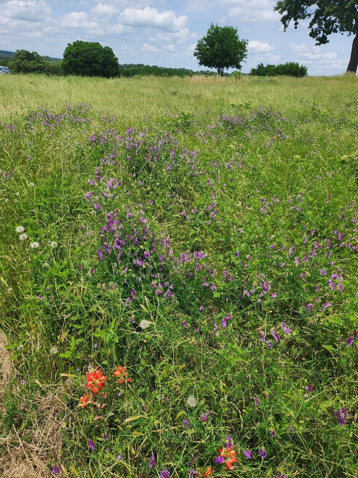 1.02 acres in Henderson County - photo 7