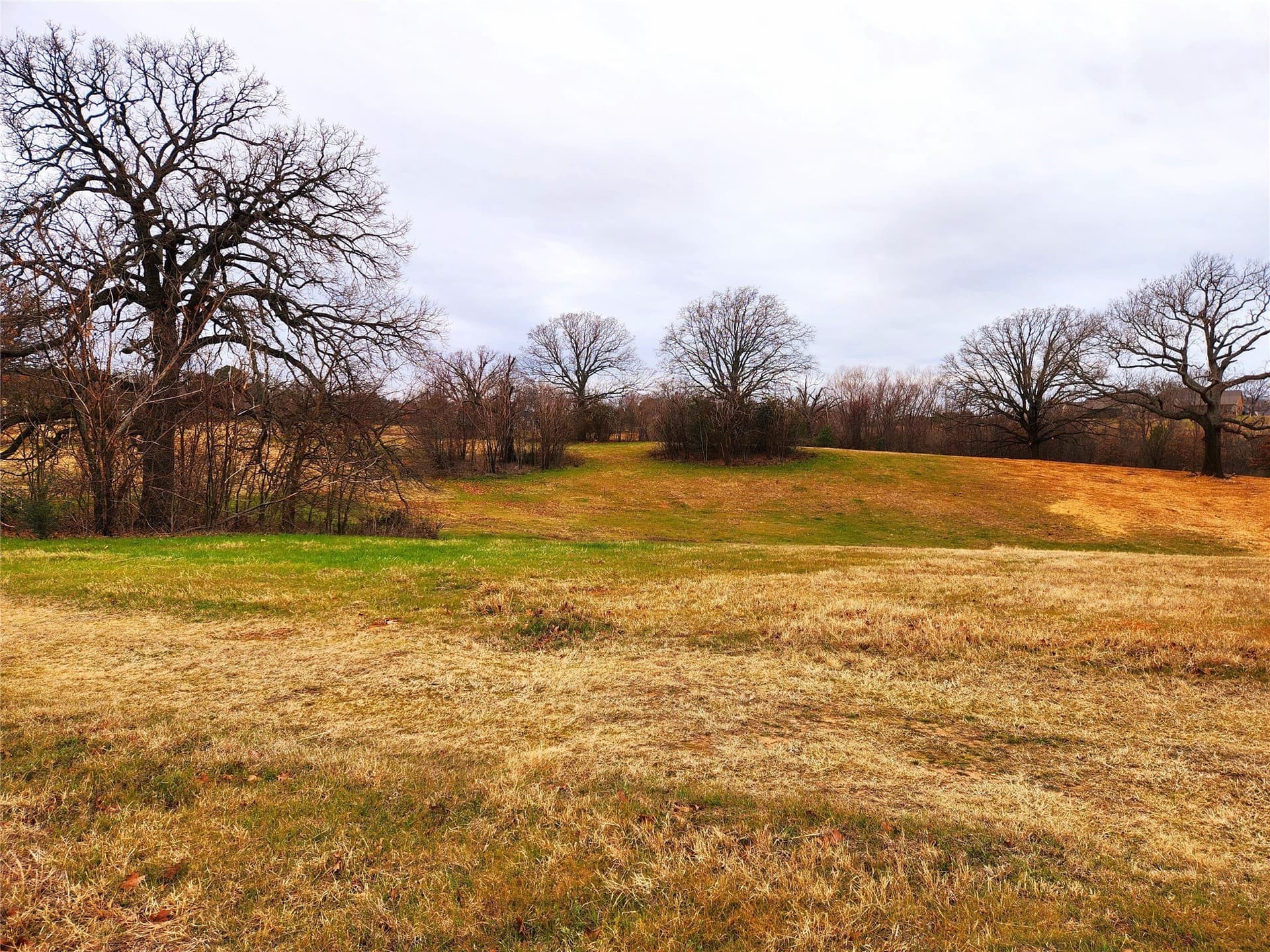 1.02 acres in Henderson County - photo 25