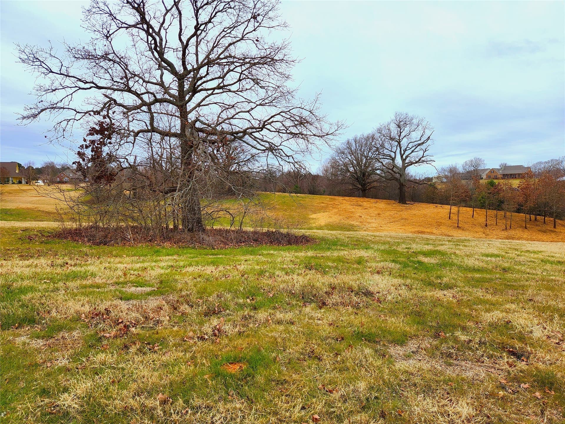 1.02 acres in Henderson County - photo 19