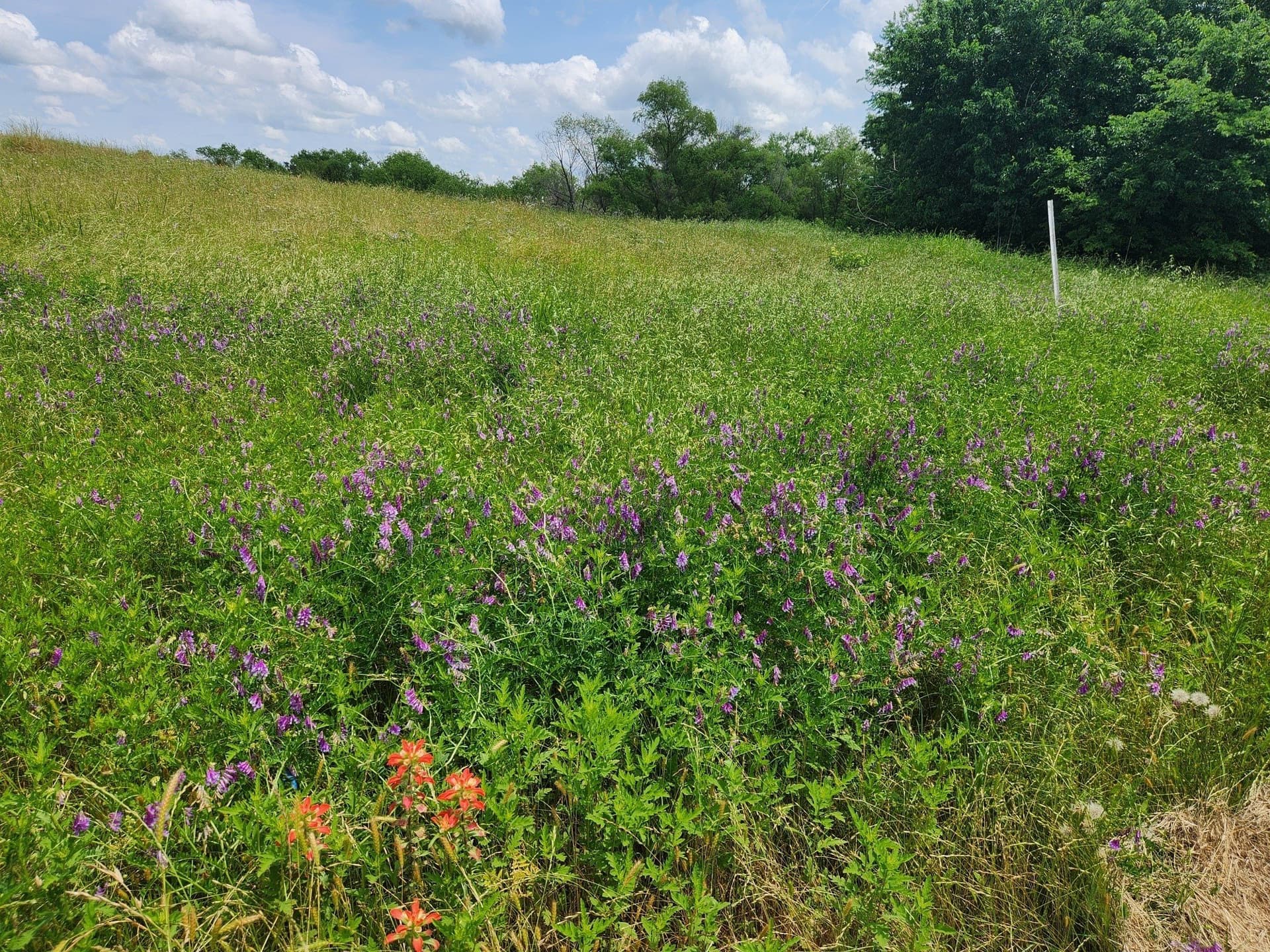 1.02 acres in Henderson County - photo 4