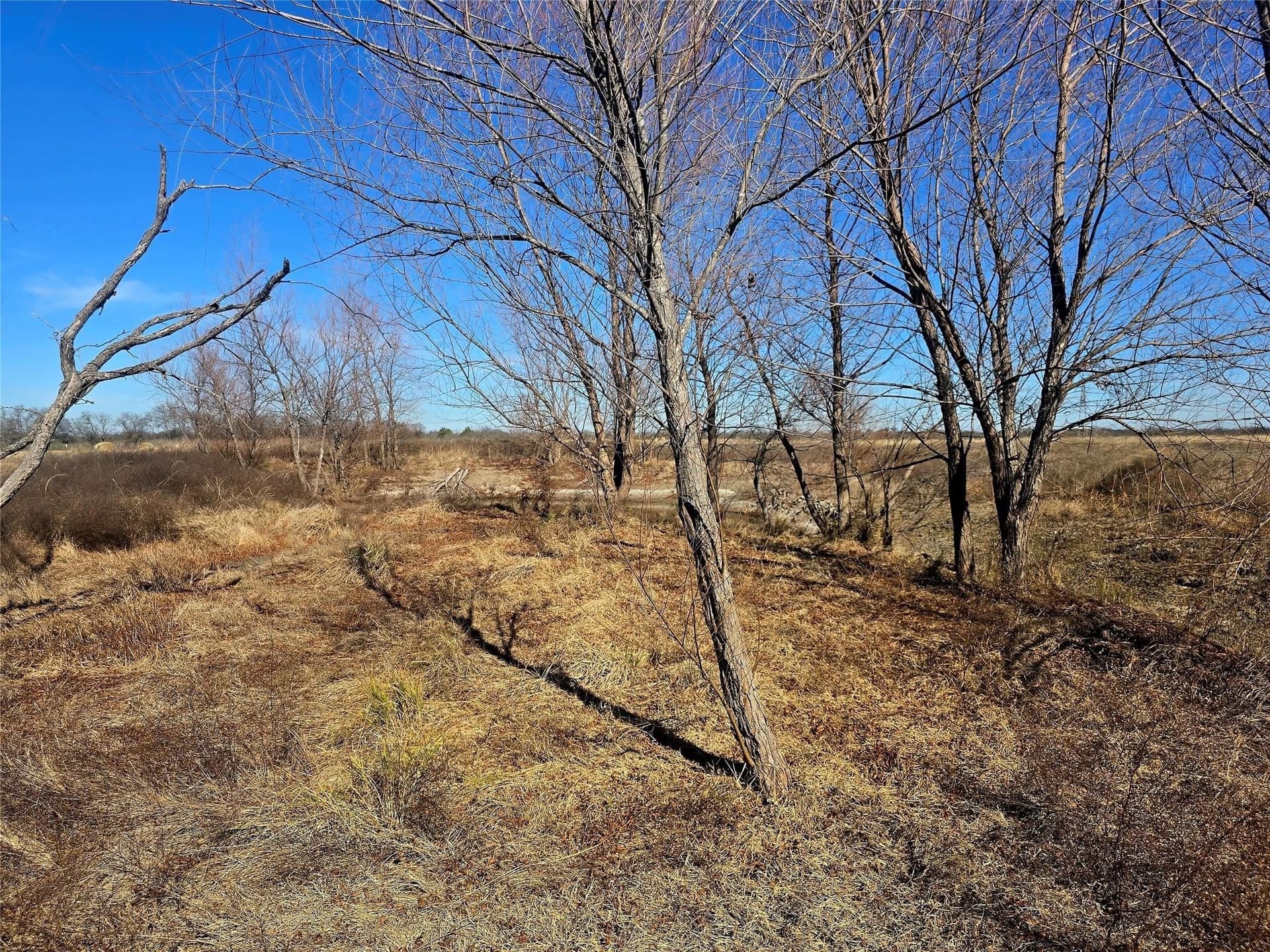 30 acres in Ellis County gallery image 2