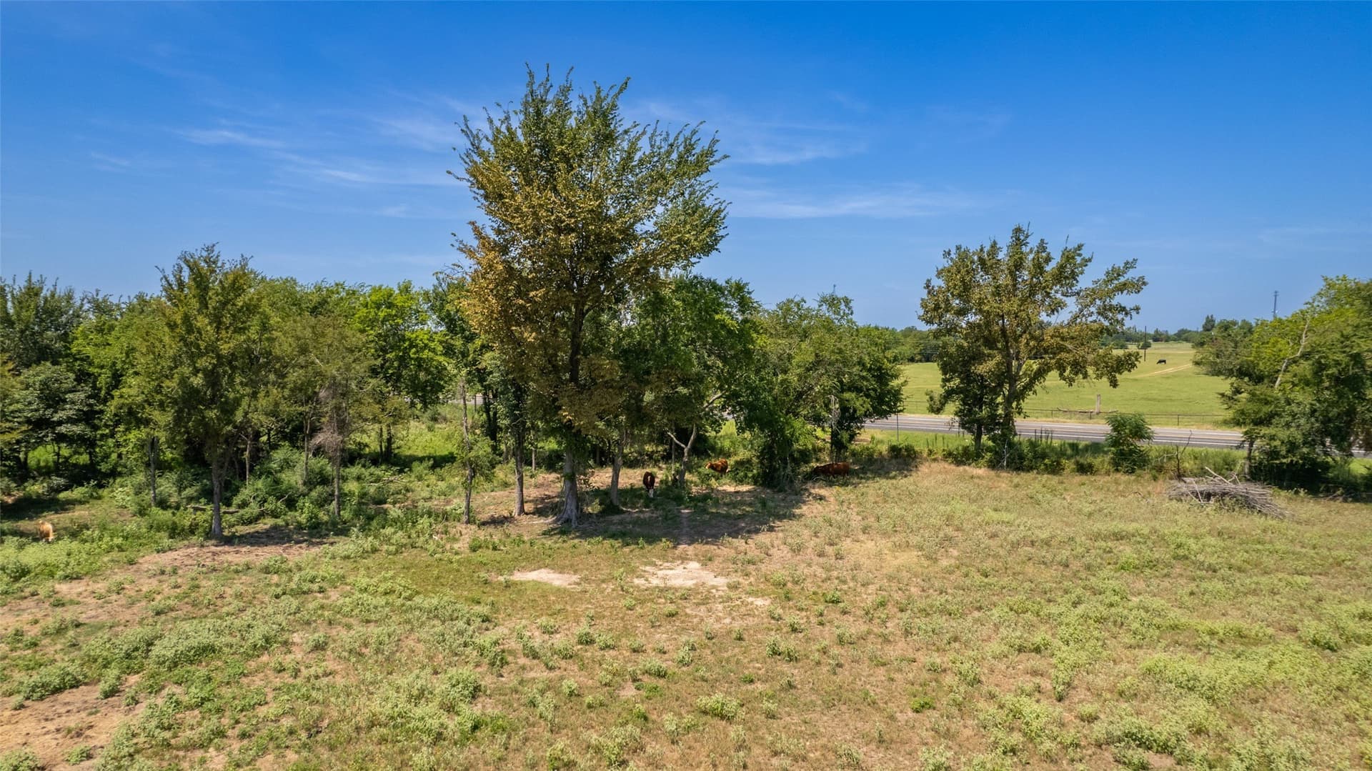 15.21 acres in Hopkins County - photo 24