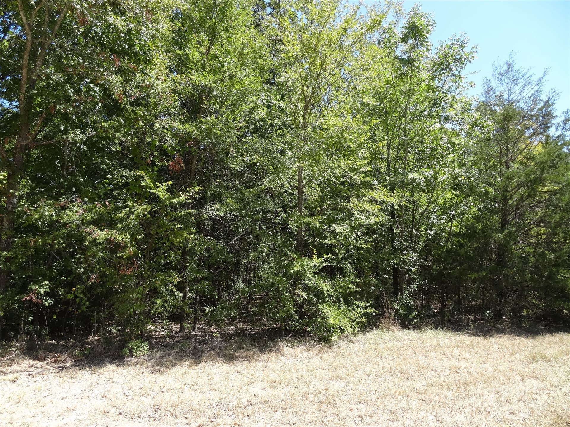 0.11 acres in Henderson County - photo 16