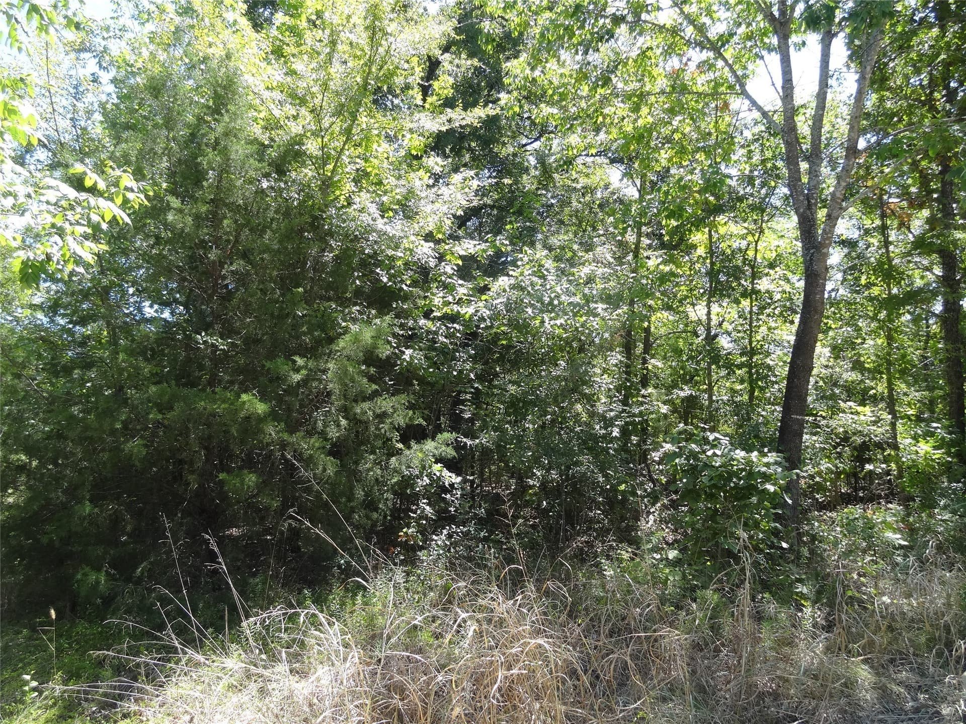 0.11 acres in Henderson County - photo 13