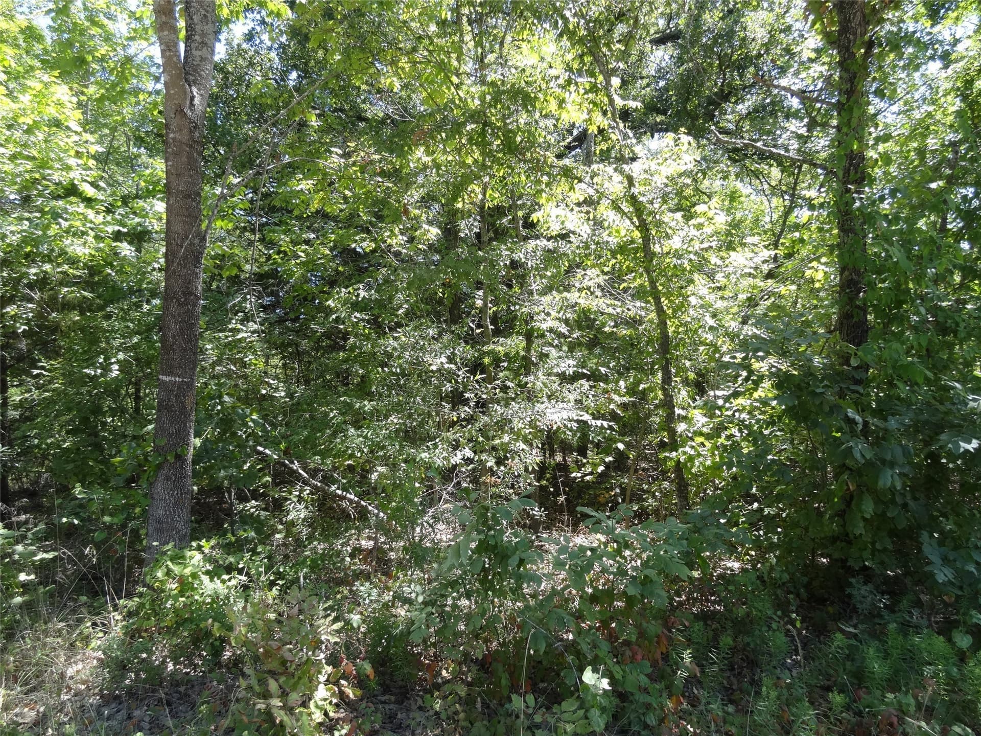 0.11 acres in Henderson County - photo 14