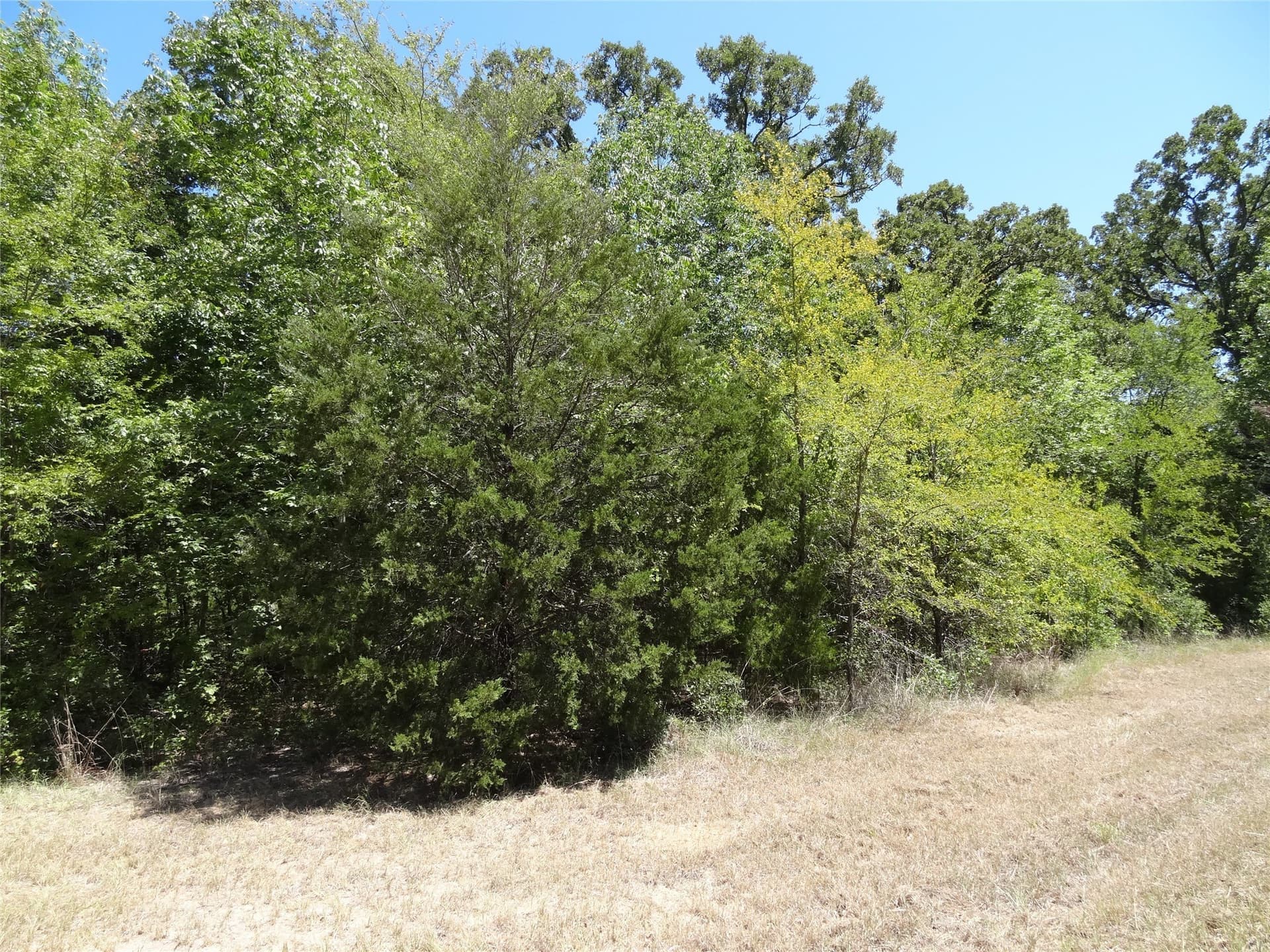 0.11 acres in Henderson County - photo 3