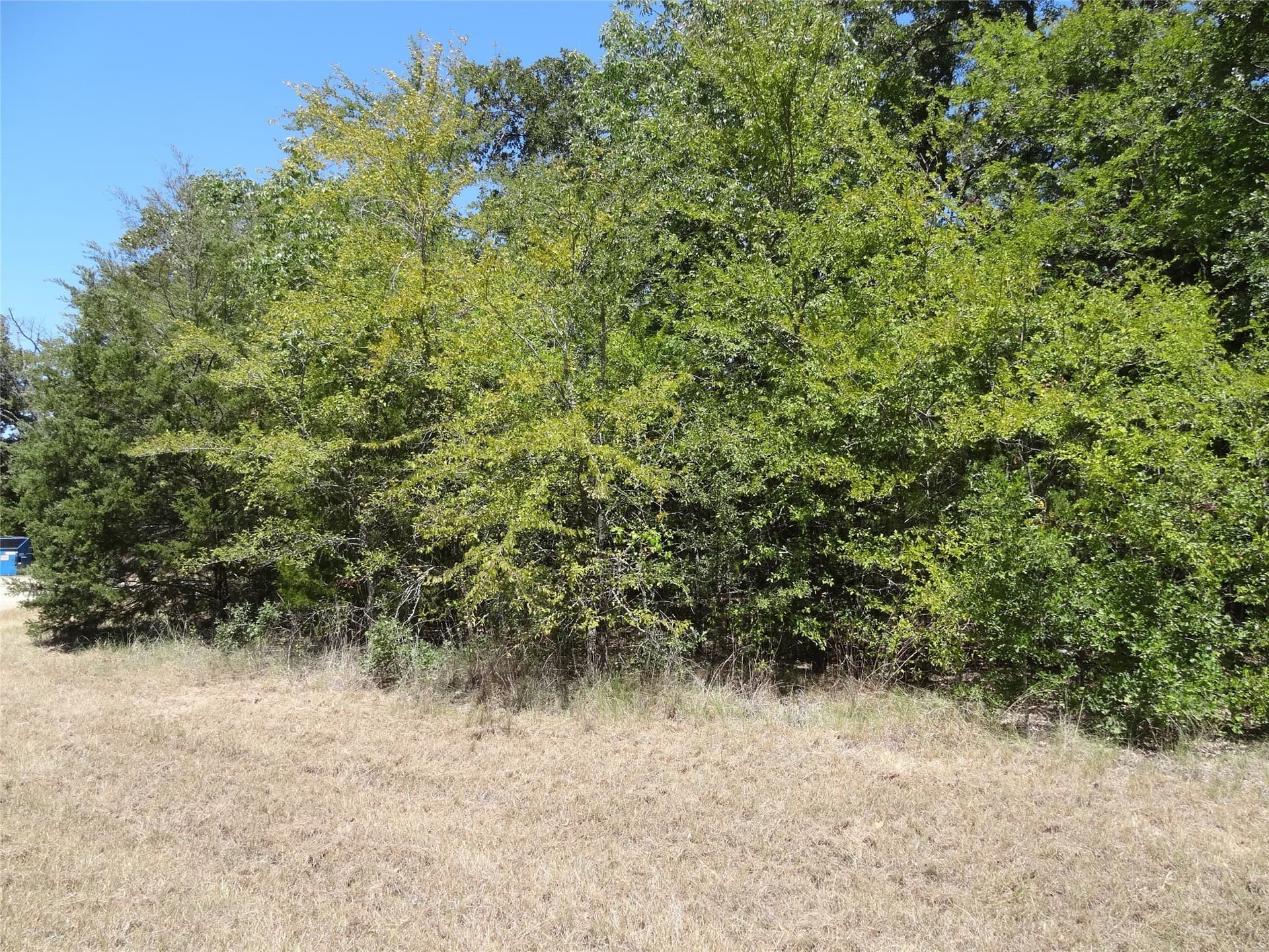 0.11 acres in Henderson County - photo 12