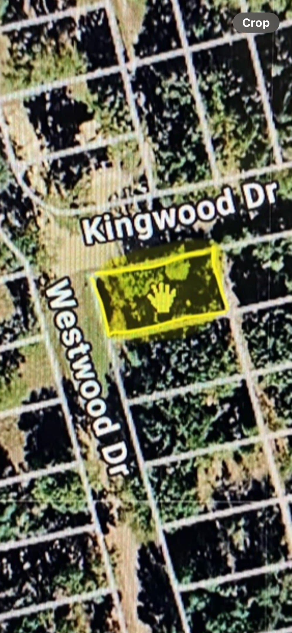 0.11 acres in Henderson County - photo 6