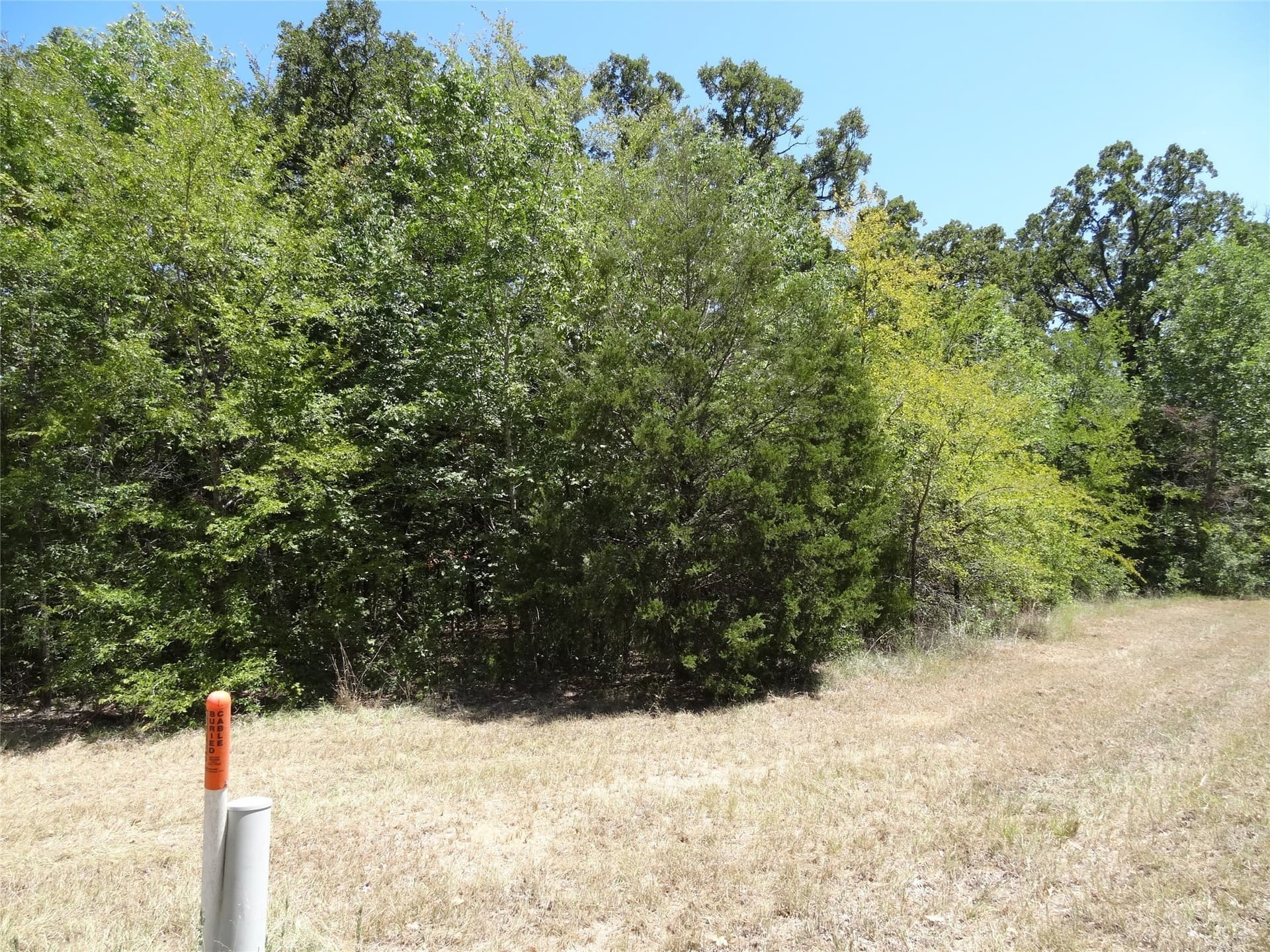 0.11 acres in Henderson County - photo 5