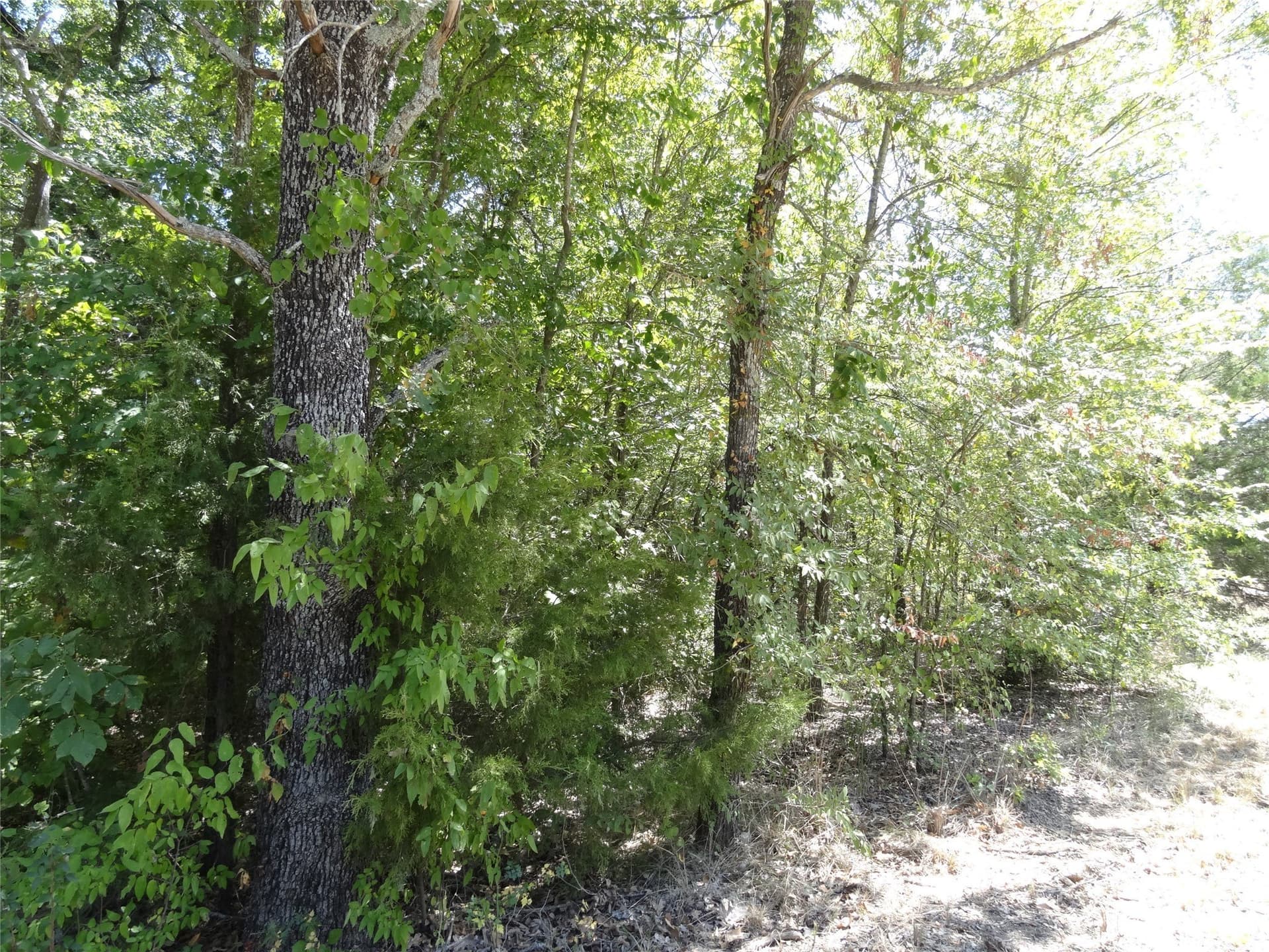0.11 acres in Henderson County - photo 15