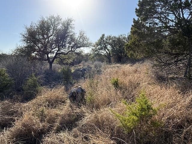 0.28 acres in Burnet County gallery image 2