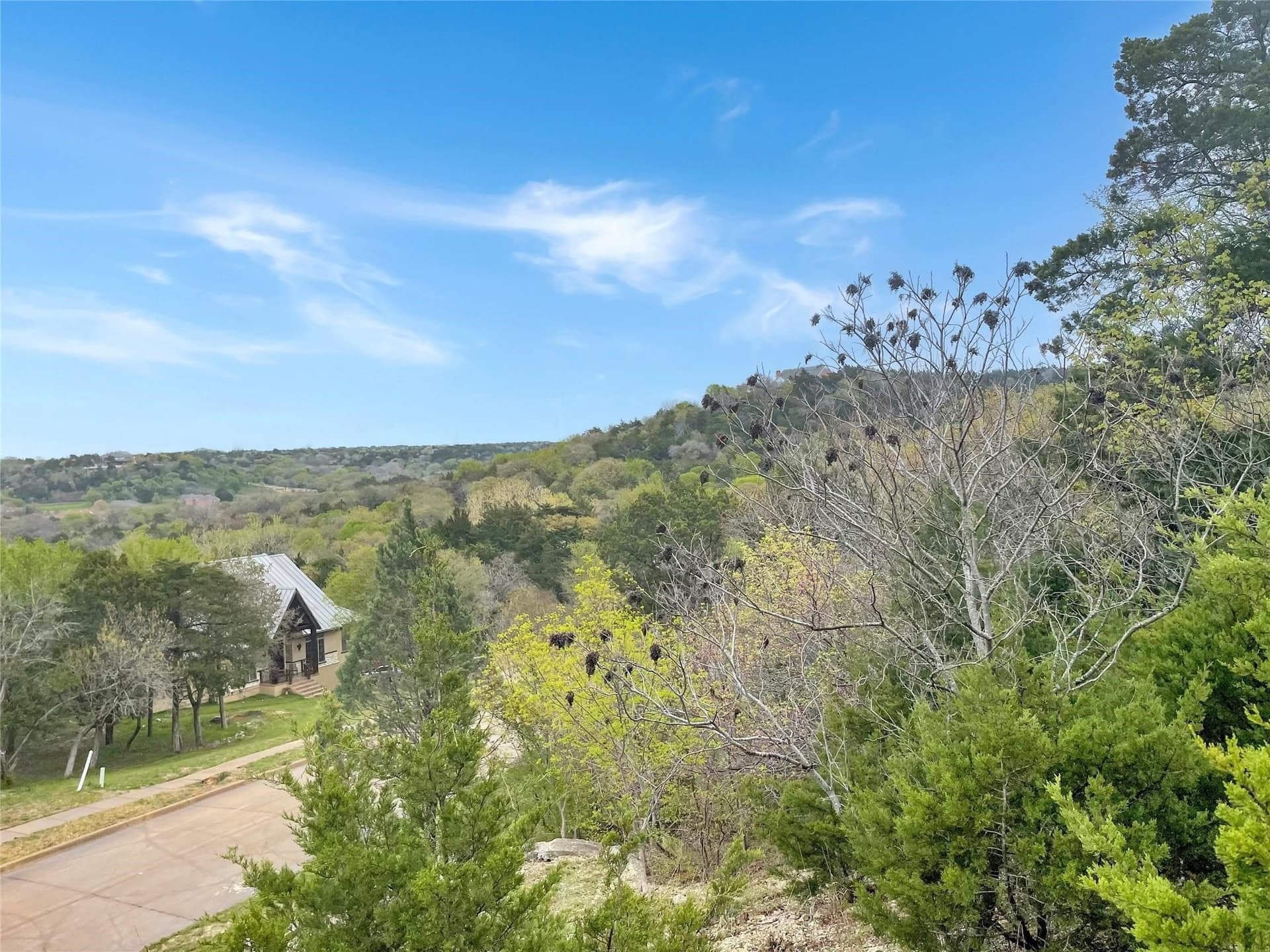 1.38 acres in Dallas County - photo 5