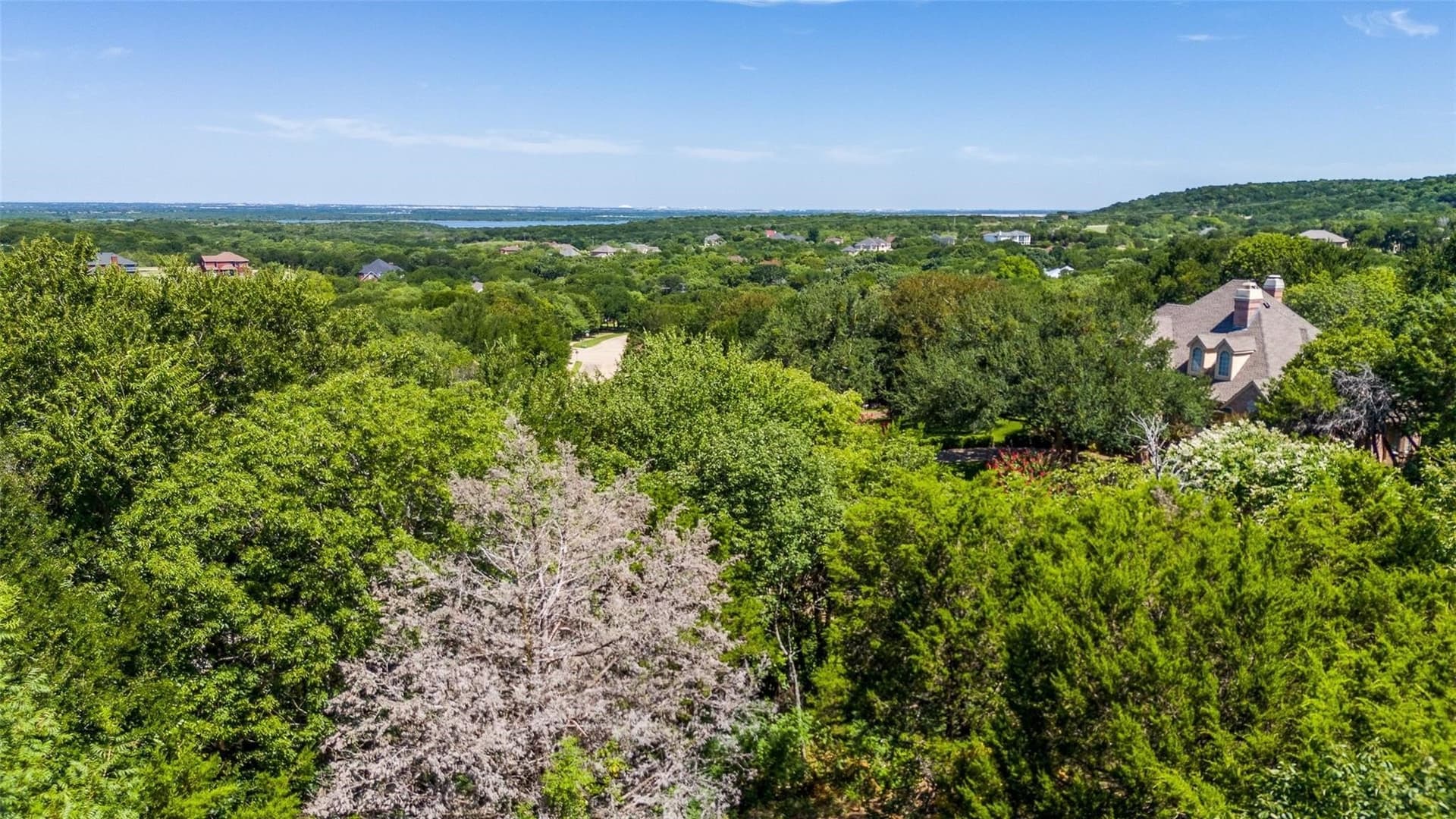 1.38 acres in Dallas County - photo 6