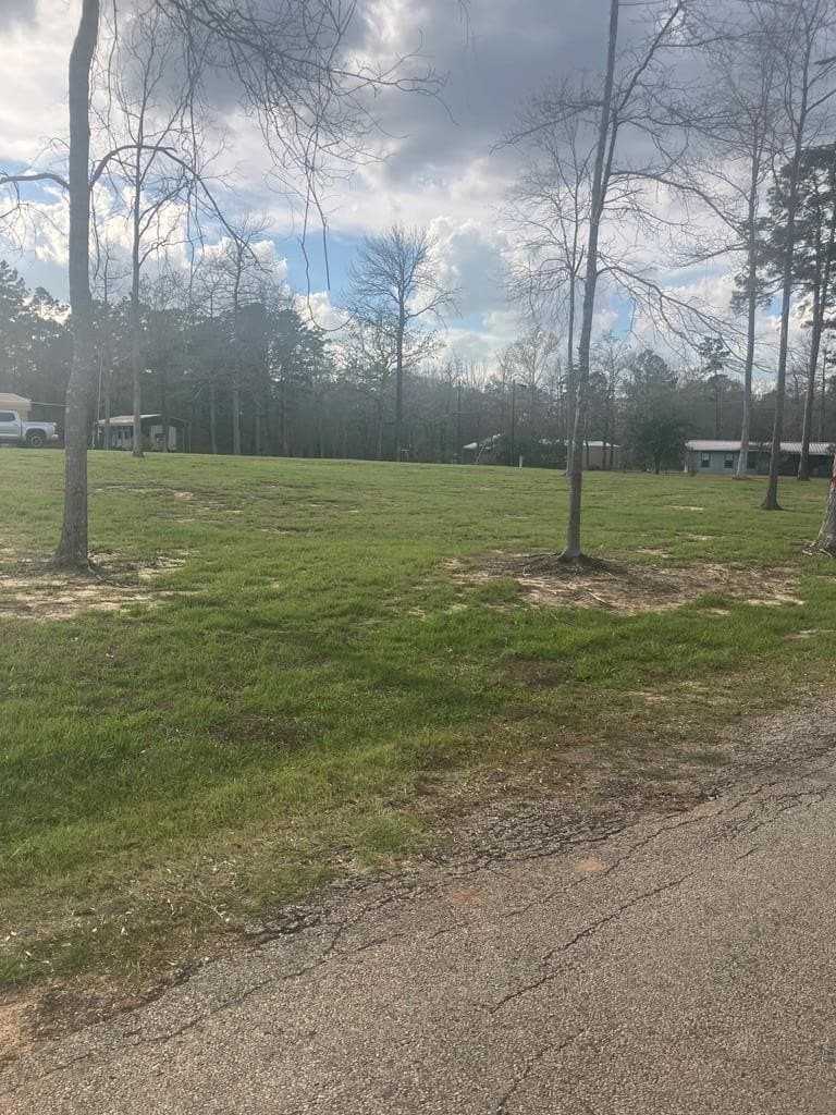 0.55 acres in Texas County gallery image 4