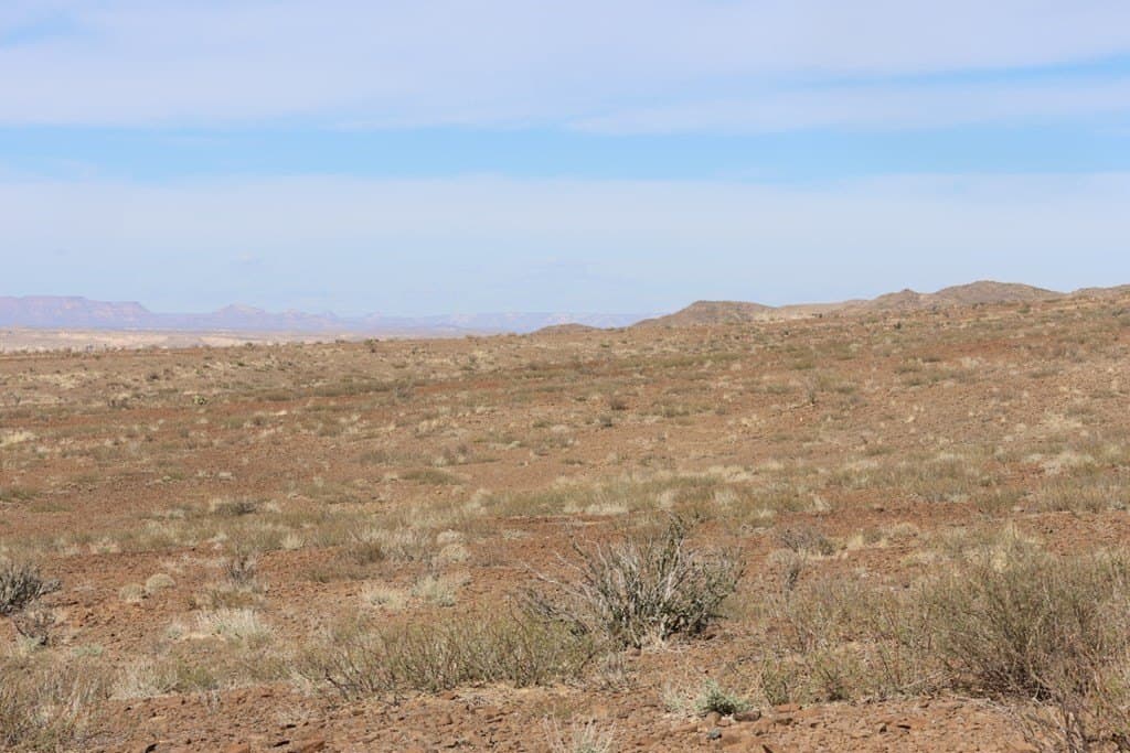 40 acres in Brewster County gallery image 3