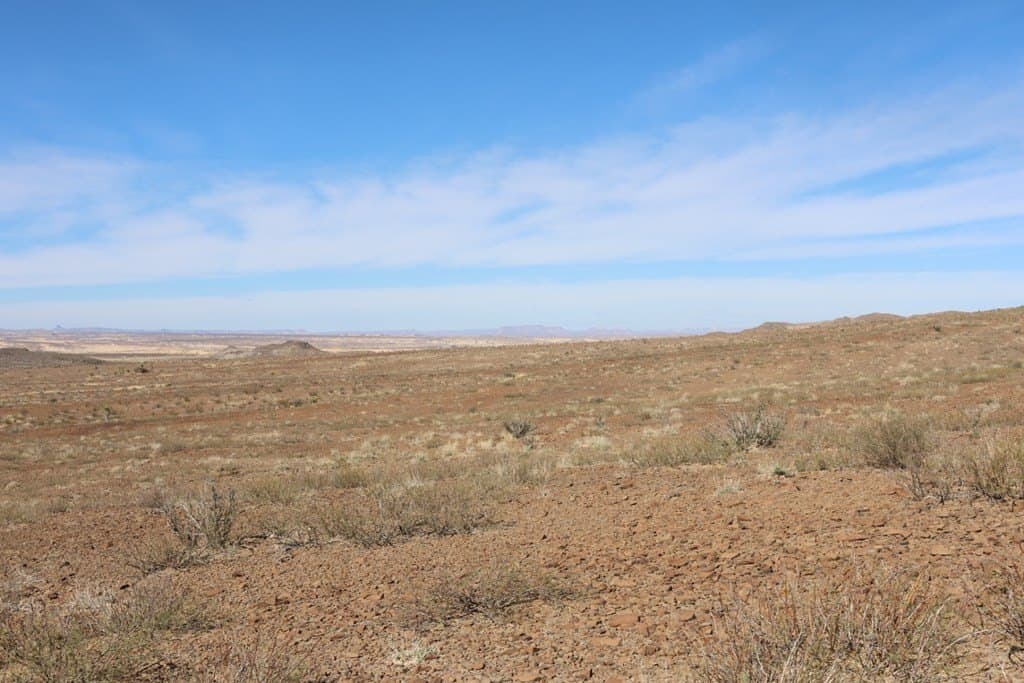 40 acres in Brewster County gallery image 4