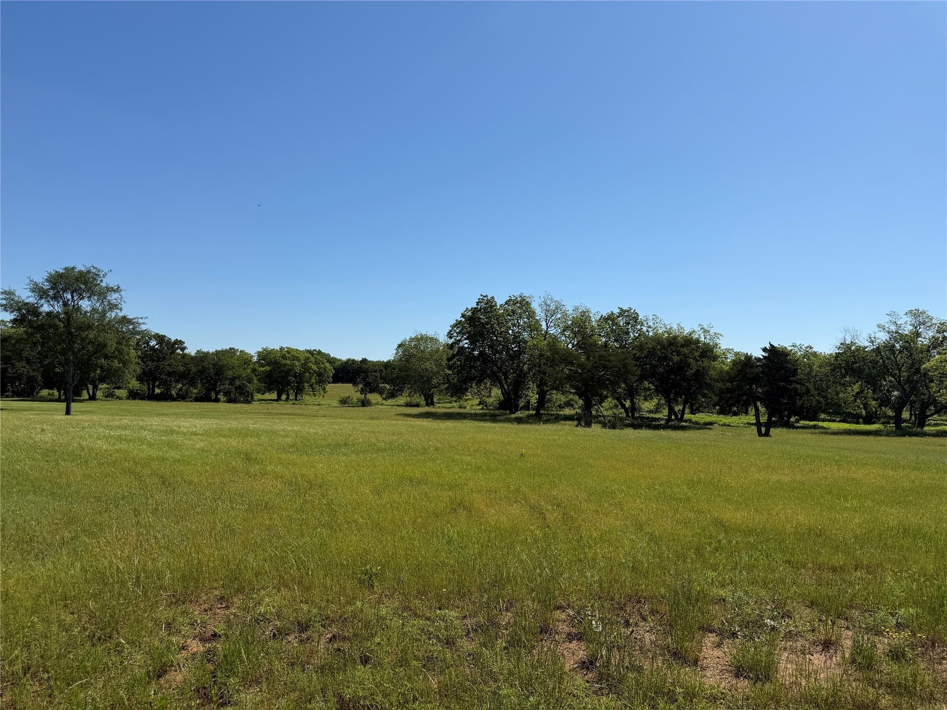 13 acres in Grayson County gallery image 3