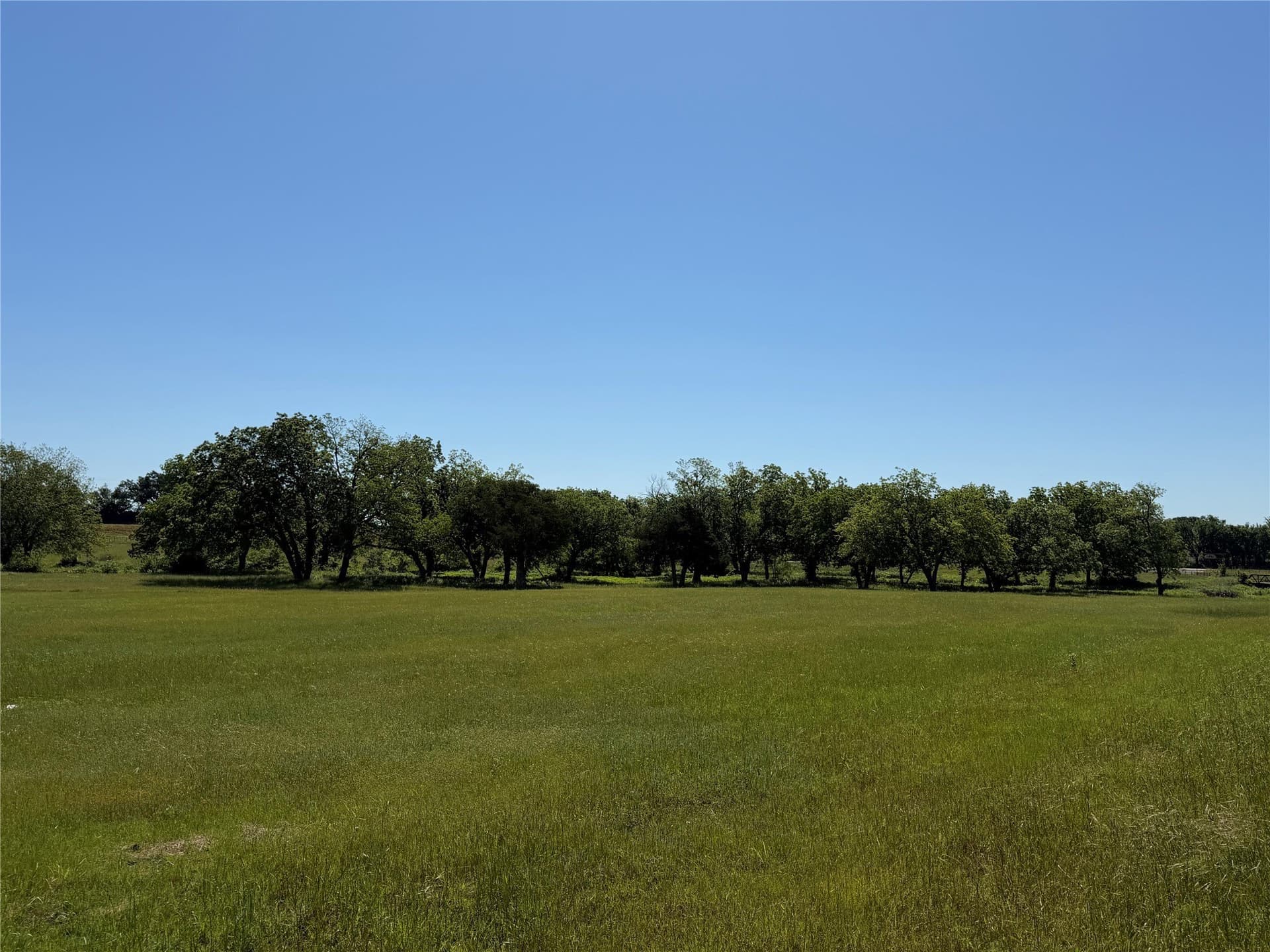 13 acres in Grayson County