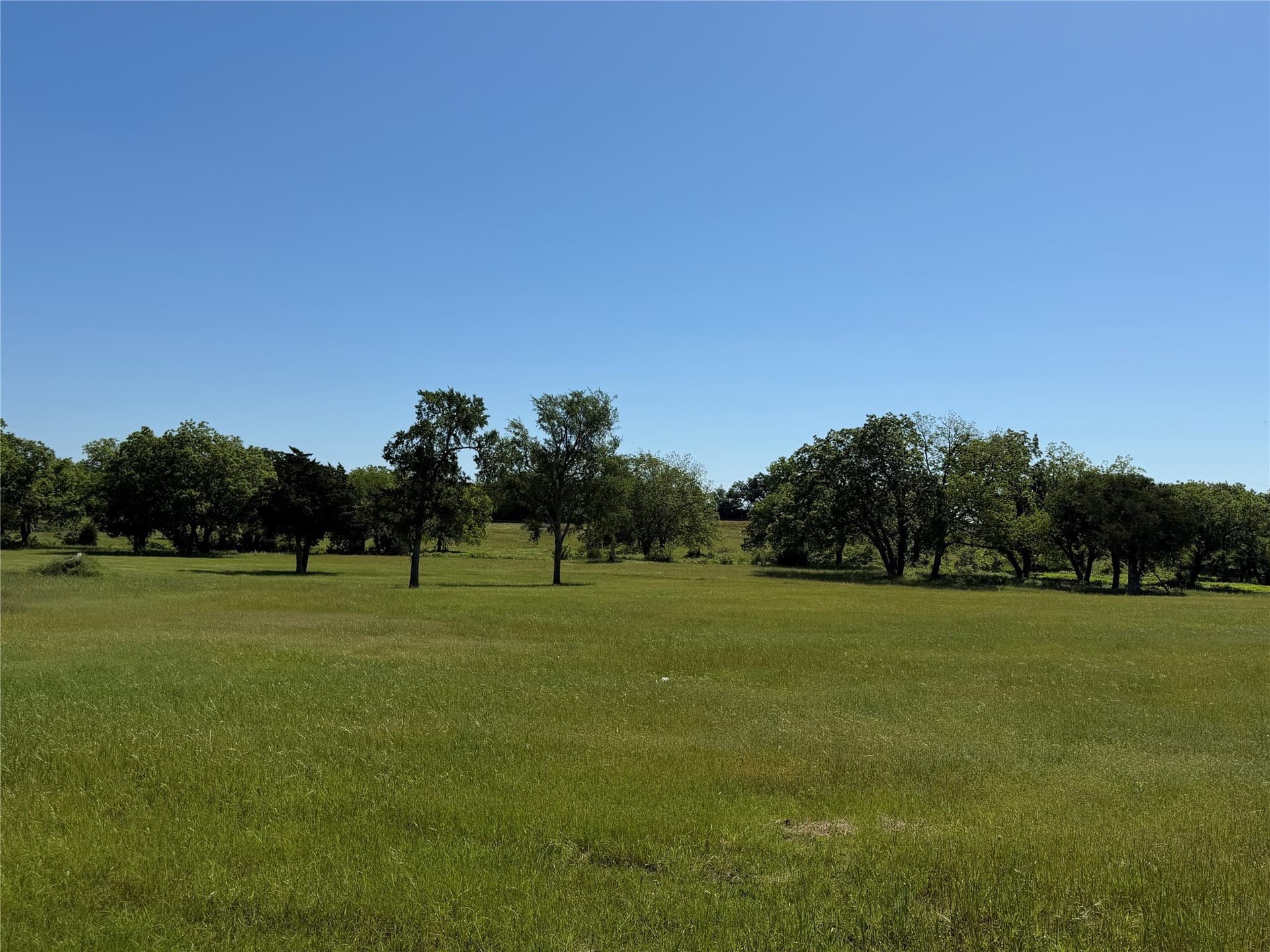 13 acres in Grayson County gallery image 2