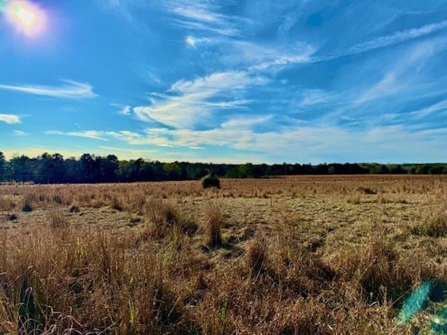 3.12 acres in Texas County gallery image 3