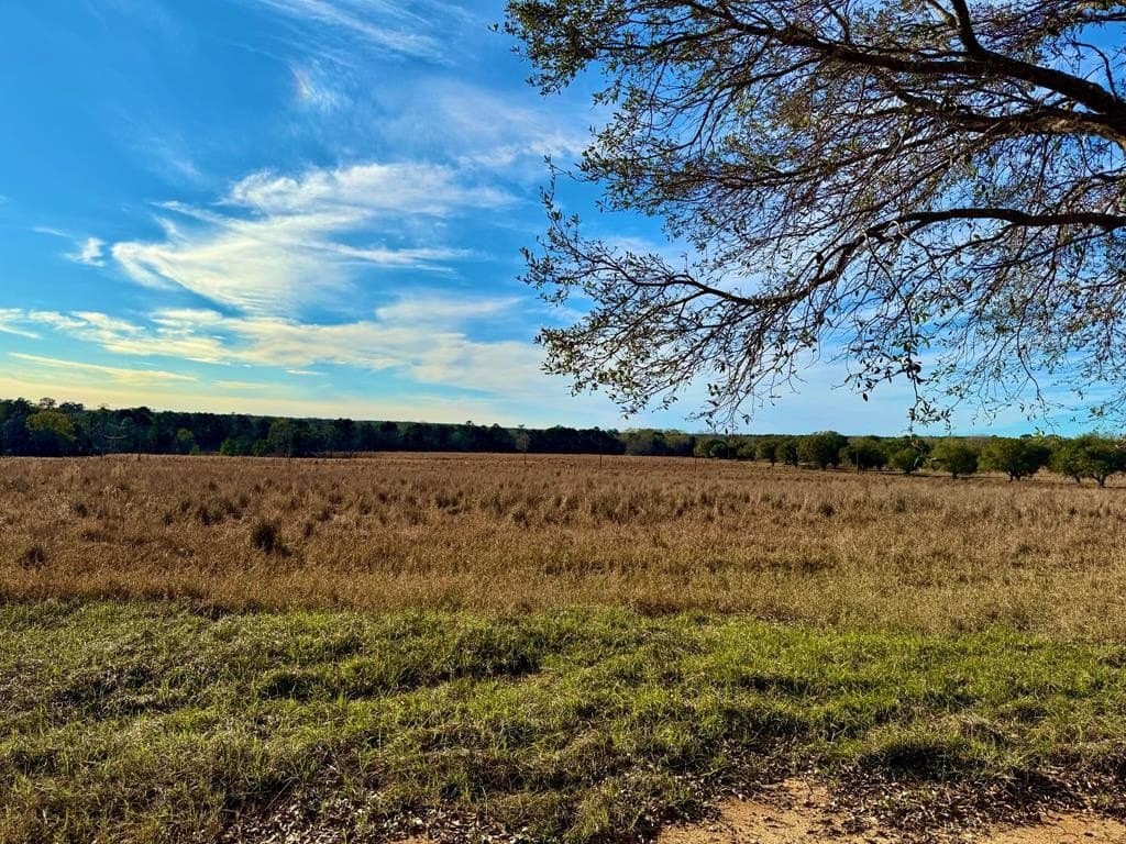 3.12 acres in Texas County