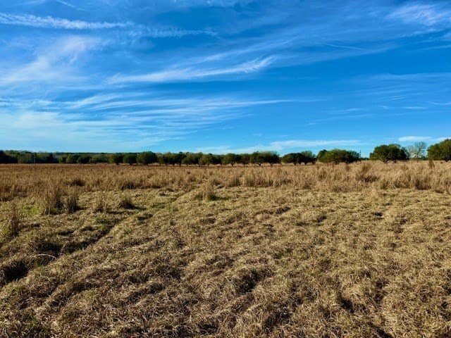 3.12 acres in Texas County gallery image 2