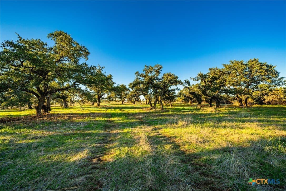 50 acres in Bell County - photo 16