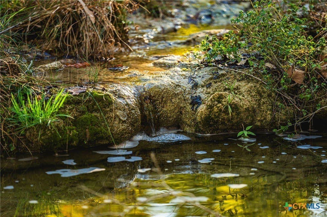 50 acres in Bell County gallery image 3