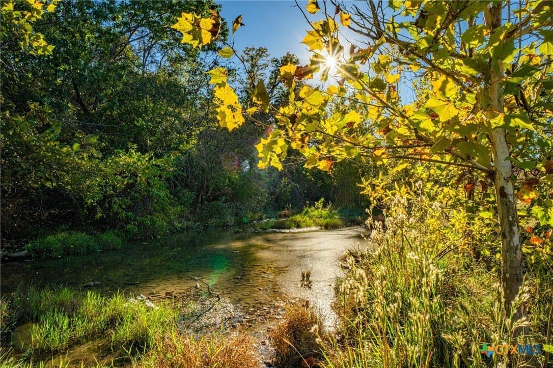 50 acres in Bell County - photo 8