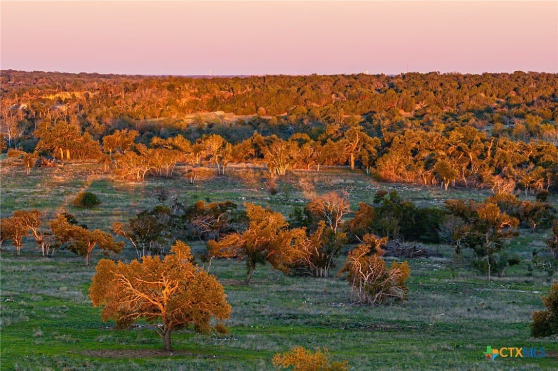 50 acres in Bell County gallery image 4