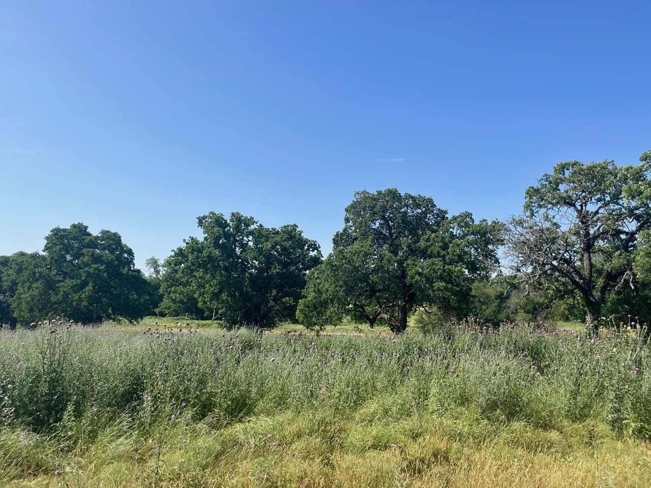 2 acres in Parker County - photo 2