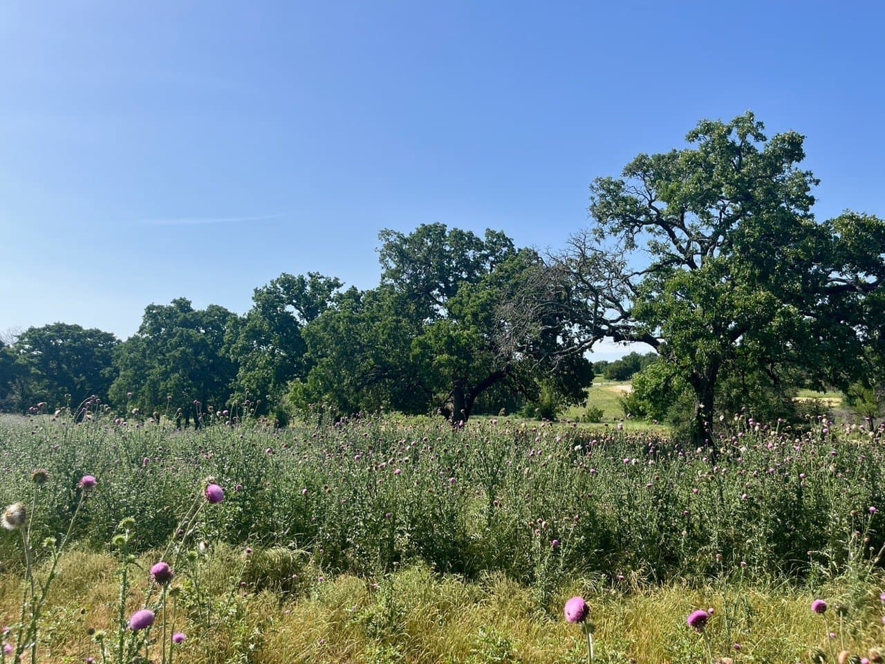 2 acres in Parker County - photo 3