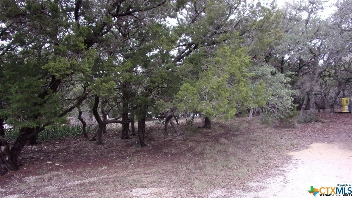 0.39 acres in Comal County gallery image 2