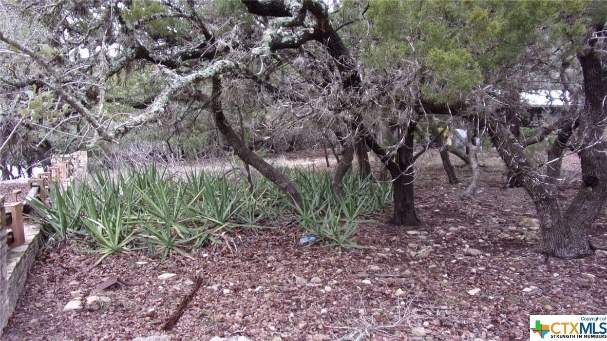 0.39 acres in Comal County gallery image 3