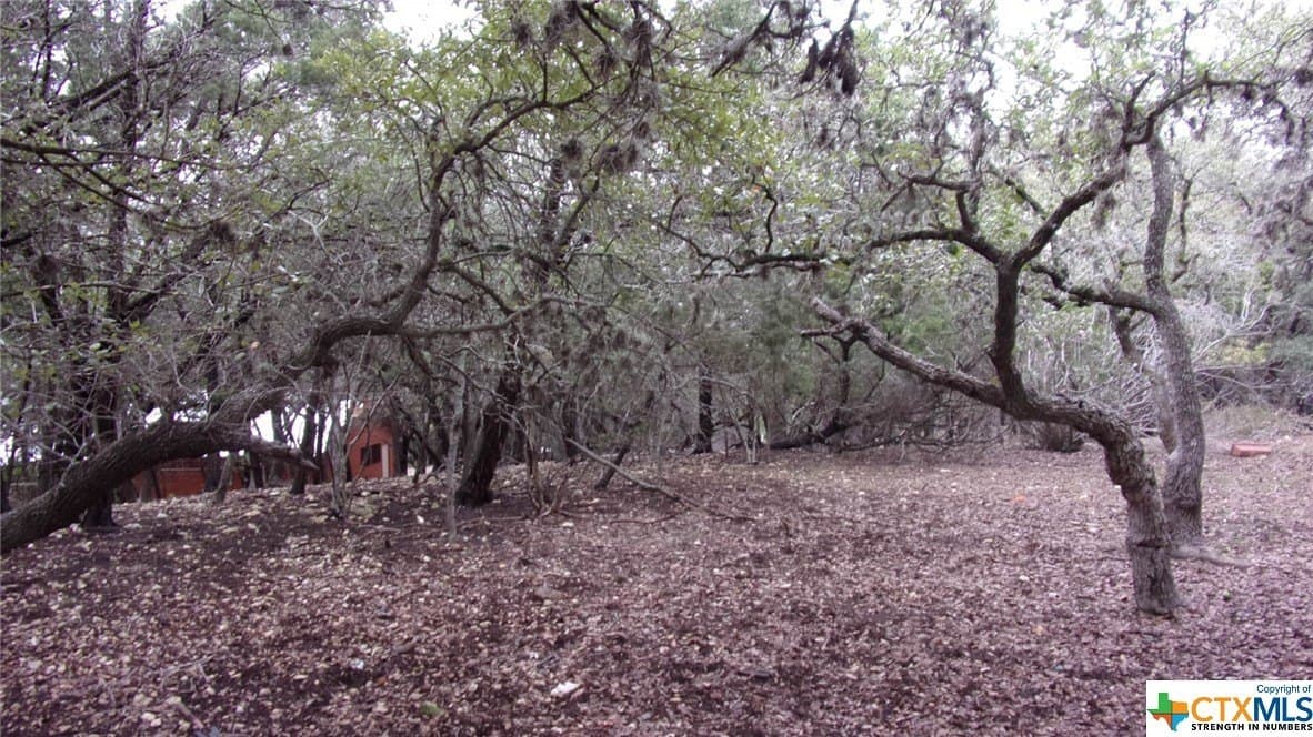 0.39 acres in Comal County featured view