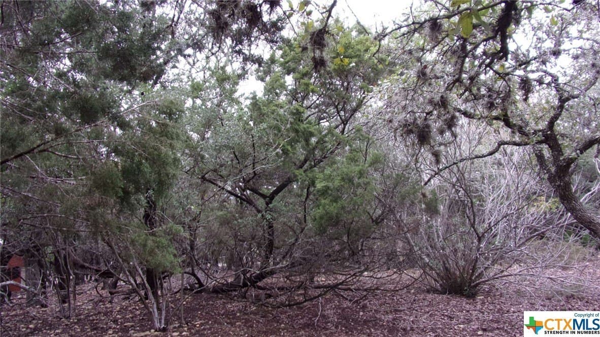0.39 acres in Comal County - photo 6