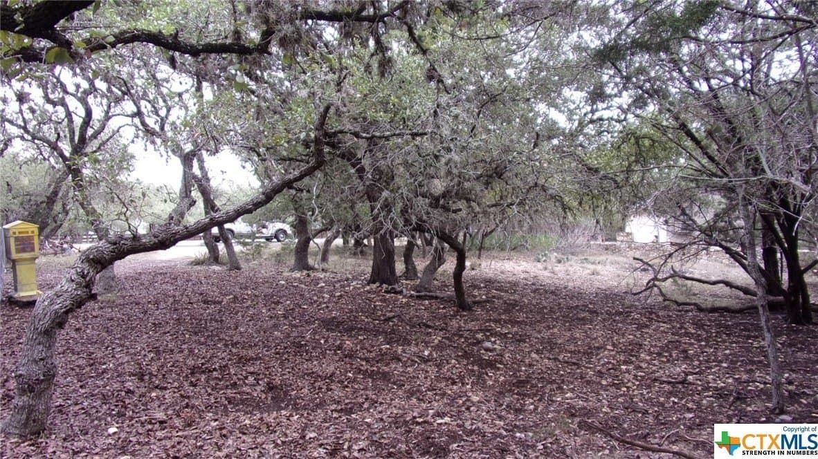 0.39 acres in Comal County - photo 7