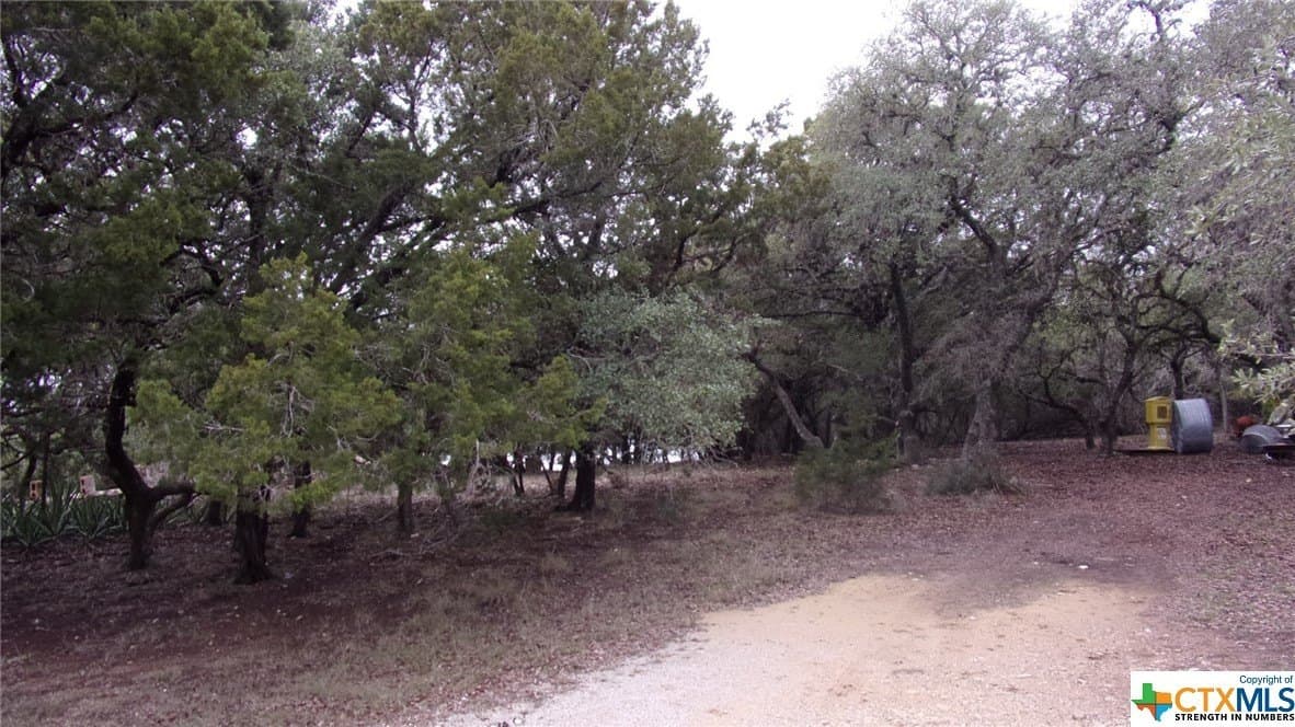 0.39 acres in Comal County gallery image 4