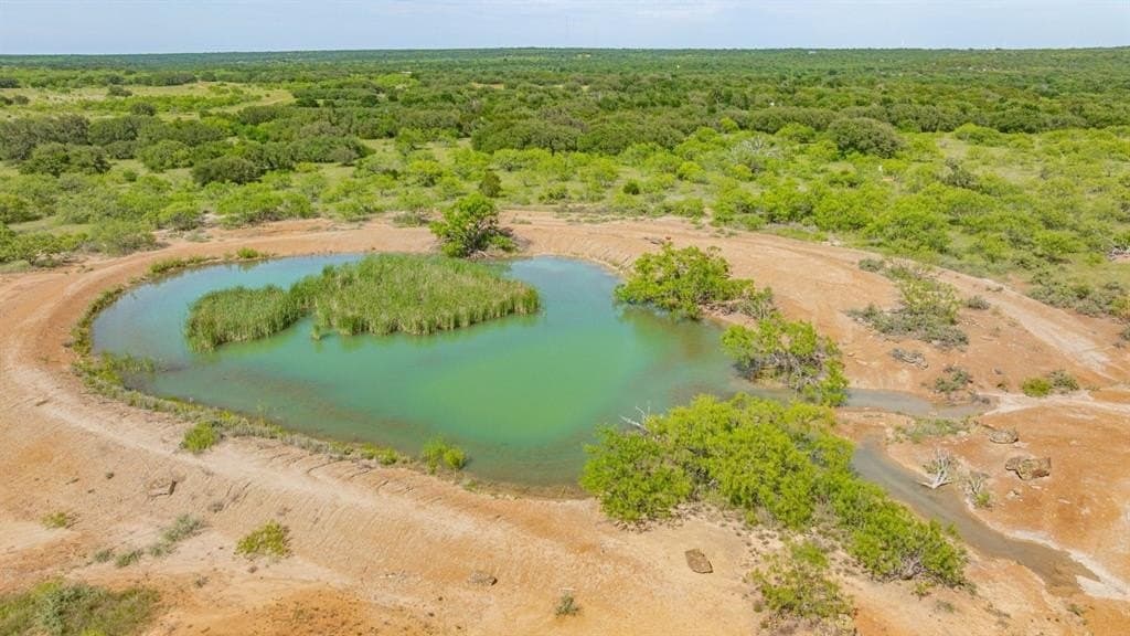 60.2 acres in Stephens County gallery image 3