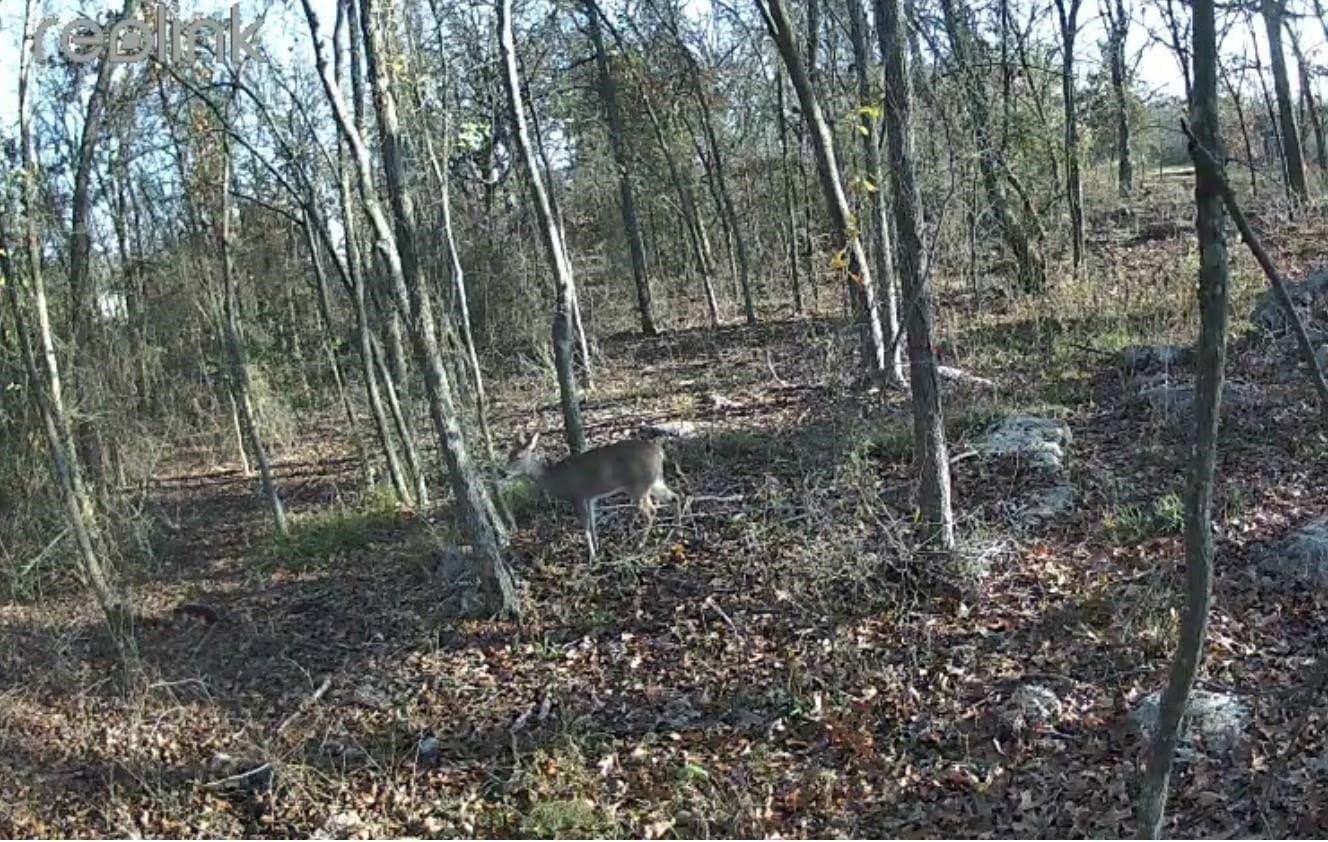 1.14 acres in Hopkins County - photo 8