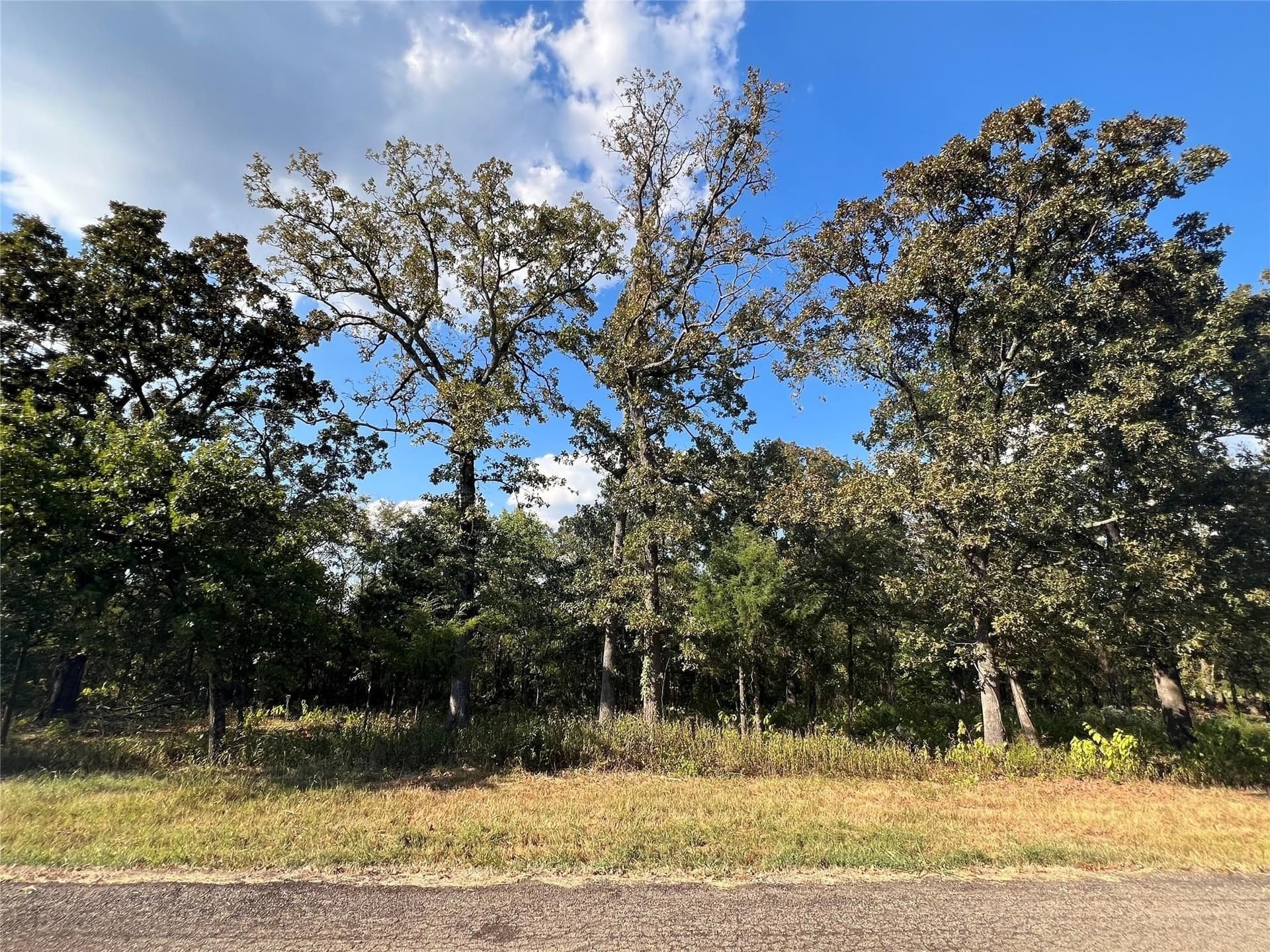 1.14 acres in Hopkins County - photo 6