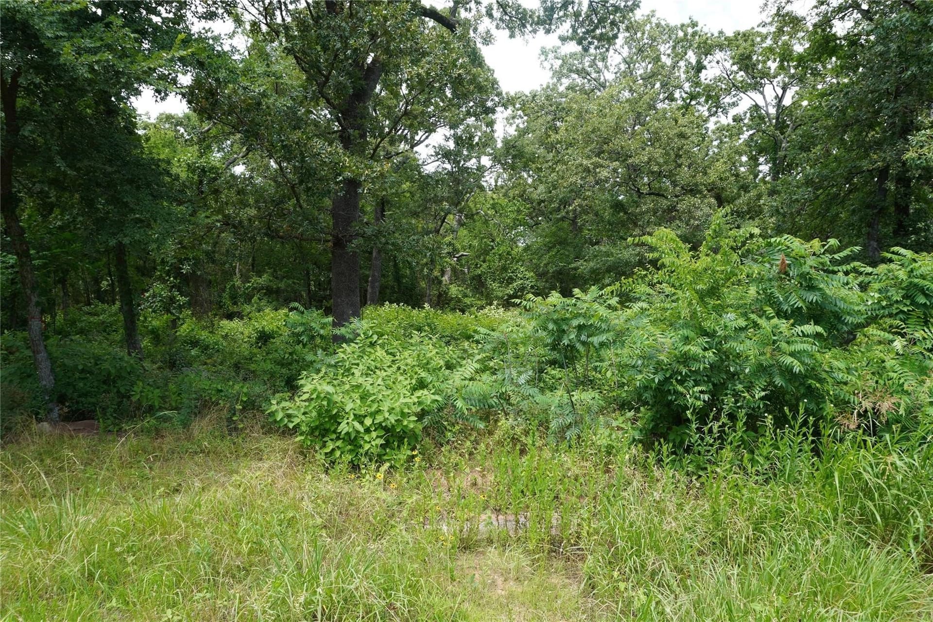 1.14 acres in Hopkins County featured view